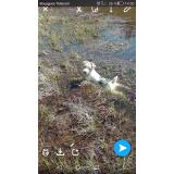 Photo de chien perdu à Queuille