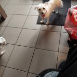 Xls9e34xz8vlvm Xls9e34xz8vlvm