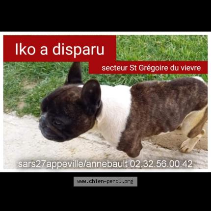 Photo 1/1 Chien retrouvé Perdu à Saint Gregoire Du Vievre