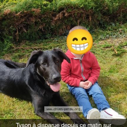 Photo de chien perdu à Pouzioux