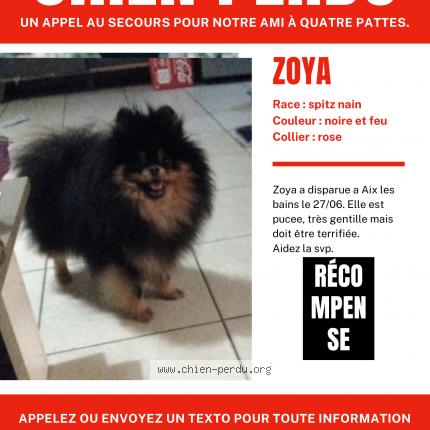 Photo de chien perdu à Aix Les Bains