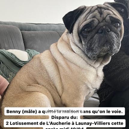 Photo de chien perdu à Launay Villiers