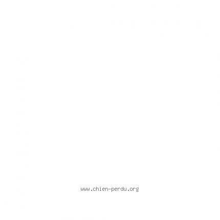 Photo 1/1 Chien retrouvé Perdu à Octeville sur mer