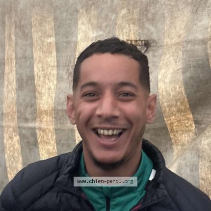 Photo 1/1 Chien retrouvé Perdu à Mozac