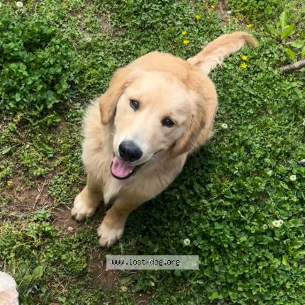 Photo 2/2 River Chien perdu à Bentonville