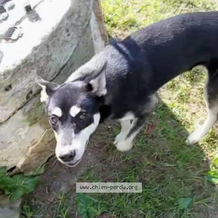 Photo 1/1 Yumi Chien perdu à Comp et lamoler