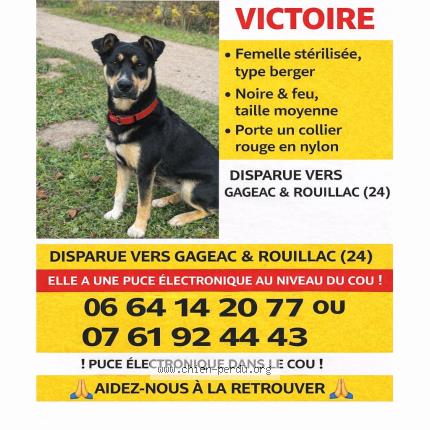 Photo 1/1 Victoire Chien perdu à Gageac et rouillac