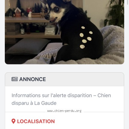 Photo de chien perdu à La Gaude