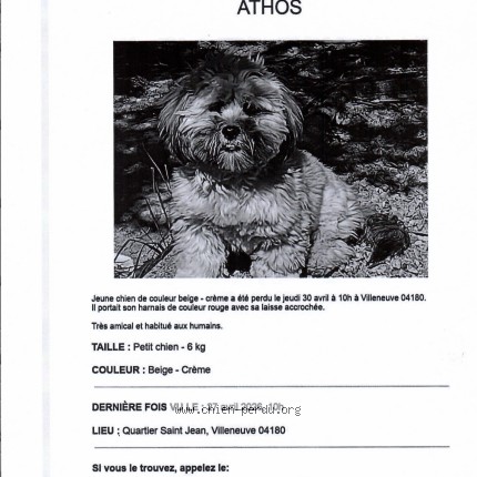 Photo 1/1 Athos Chien perdu à Villeneuve