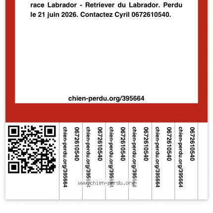 Photo 2/2 Priska Chien perdu à Le Mans