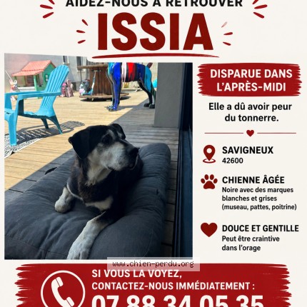 Photo 1/1 issia Chien perdu à Savigneux