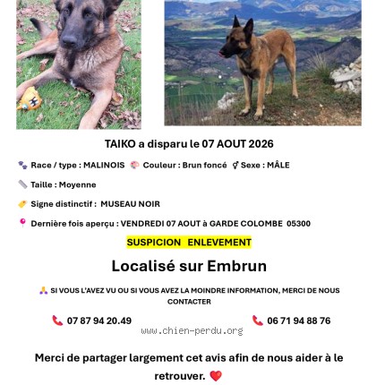 Photo de chien perdu à Garde Colombe