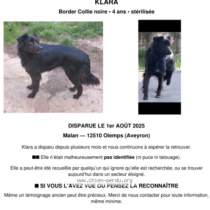 Photo 1/1 Klara Chien perdu à Olemps