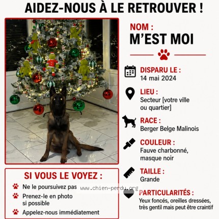 Photo 1/1 anegra Chien perdu à Beziers 34500