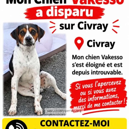 Photo 1/1 vakesso Chien perdu à Civray