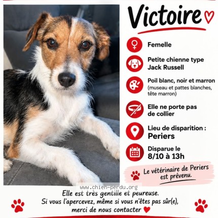 Photo 1/1 victoire Chien perdu à Periers